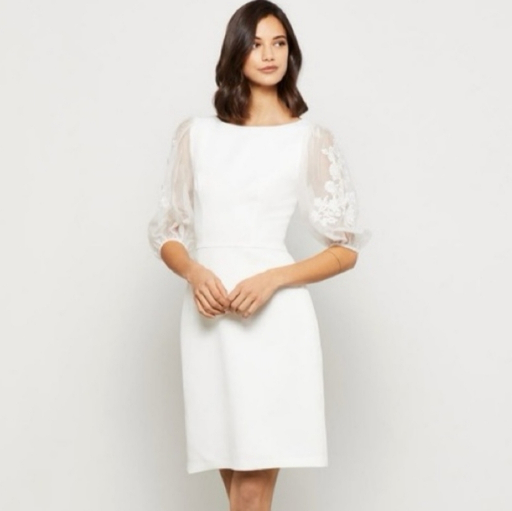 BCBG Mila Lace Sleeve dress